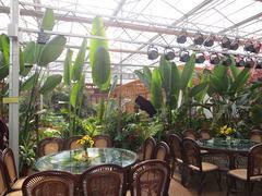 甘肅金石園林景觀工程公司 石嘴山生態(tài)園優(yōu)質(zhì)產(chǎn)品圖片供應